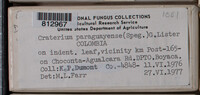 Image Associated With the Occurence